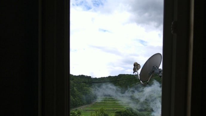 夏草や、賢治が羨む丈夫なからだ!
