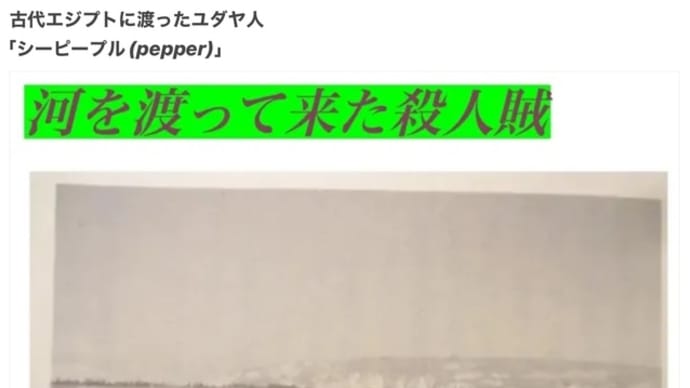 我々が奴隷落ち(派遣落ち)してんのは海賊のせいだよ【Pepper】2025/06/08