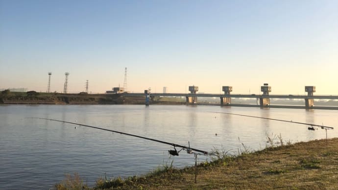 10月25日の鯉釣り