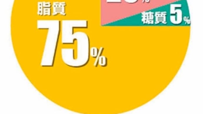 ケトジェニックの話