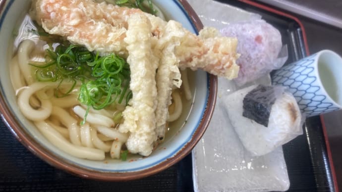 たぬき屋のうどん！