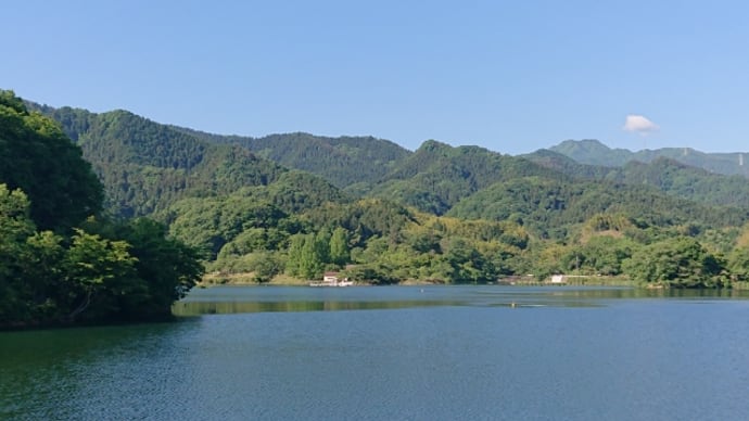 早朝散歩は大塩湖 ♬サボテンの花(チューリップ)