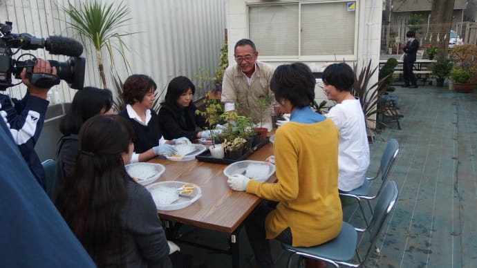 11月19日の「あさイチ」