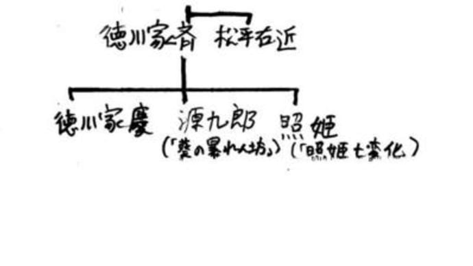 徳川家斉、松平右近、照姫、松平源九郎の系図