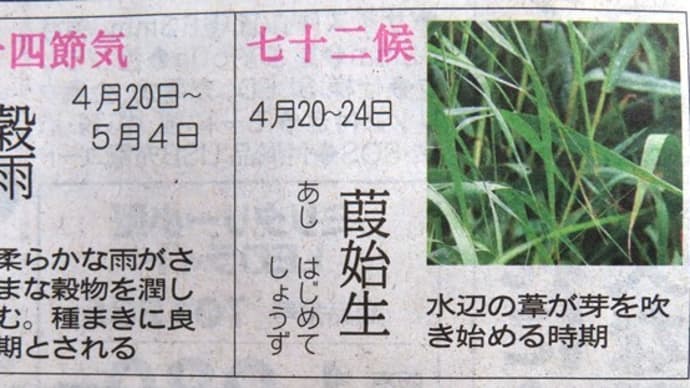 二十四節気の一つ「穀雨」・郵政記念日(逓信記念日)