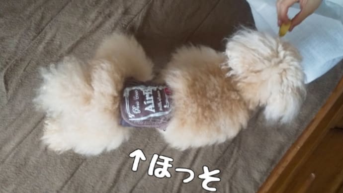 実は着やせするんです。