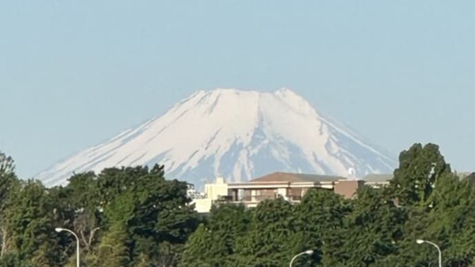 久しぶりに富士山🗻