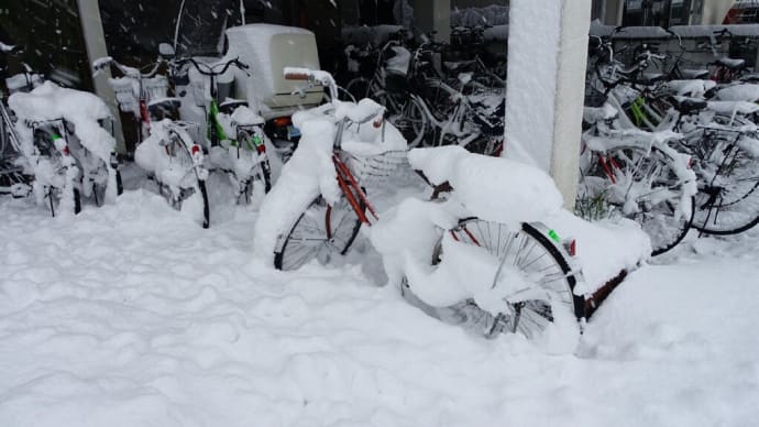 雪が降り始めた・・・・