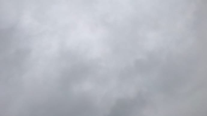 ☆6月スタート☆
