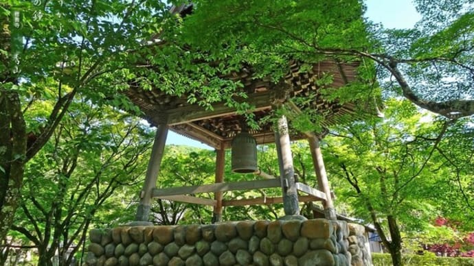新緑の修善寺