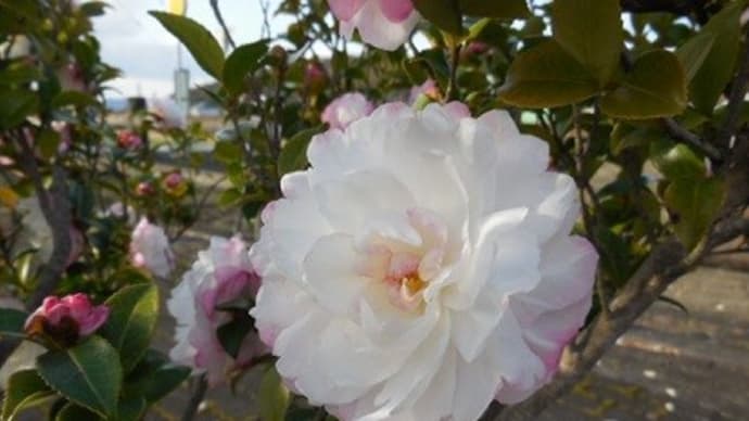 10、山抜けて山河あり ②