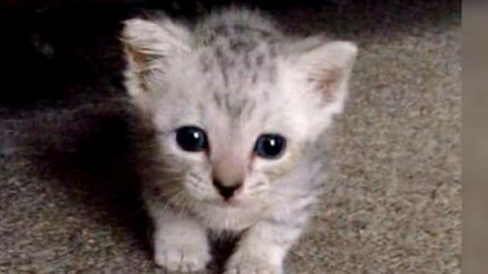 今日も1日お疲れ様です😌💓