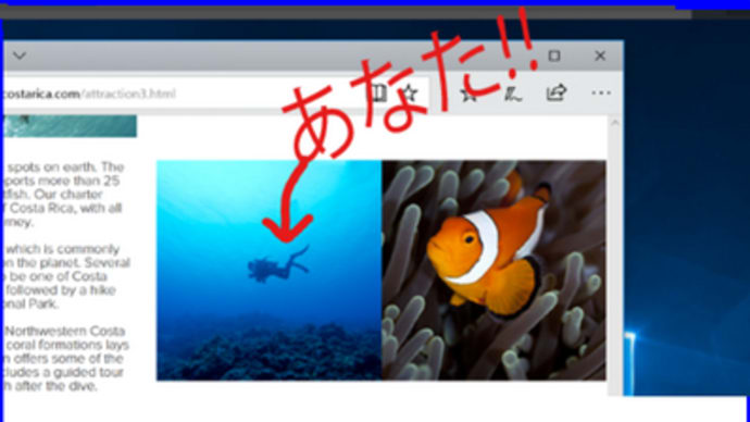 管理顧み:30 ペン