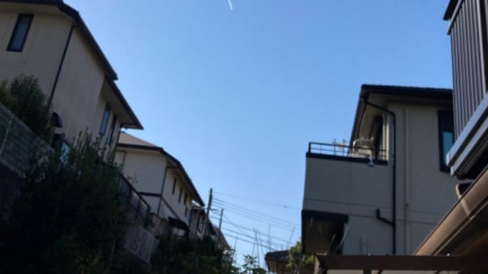 正真正銘 飛行機雲✈️