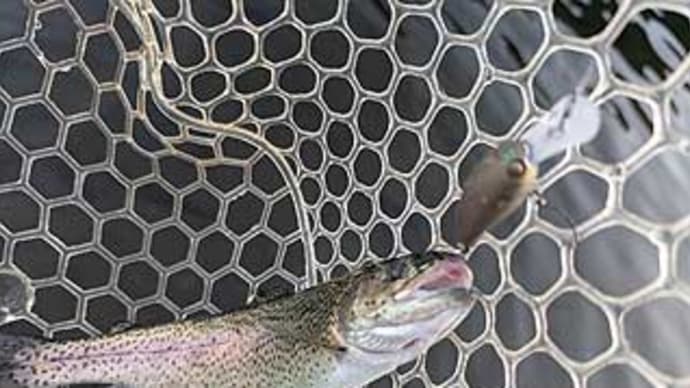 M様の管理釣り場釣行(足柄キャスティングエリア、南足柄市)。
