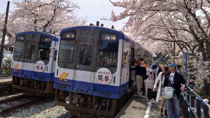 ★｢能登さくら駅｣の列車と桜トンネル、海を彩る華やかさ