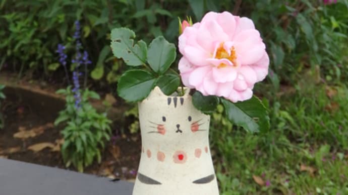 きらら館、ねこ展、28日から
