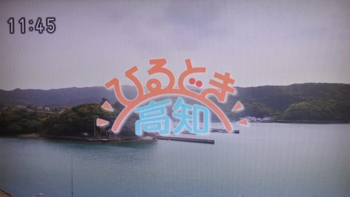 「土佐の一枚」放送0402~長沢「月光桜」