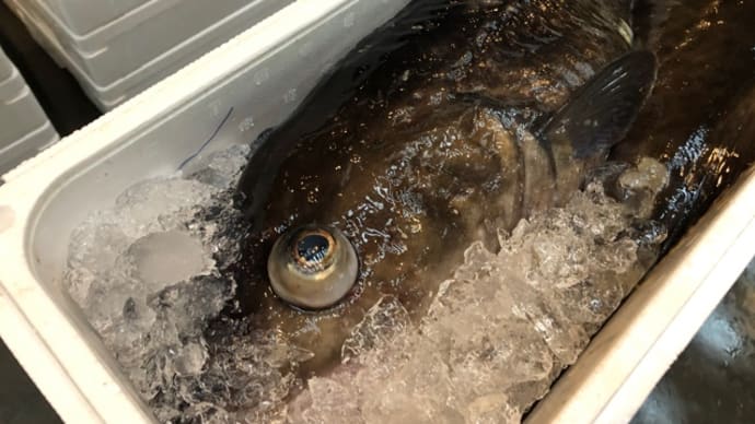 低温注意報、そして雨…