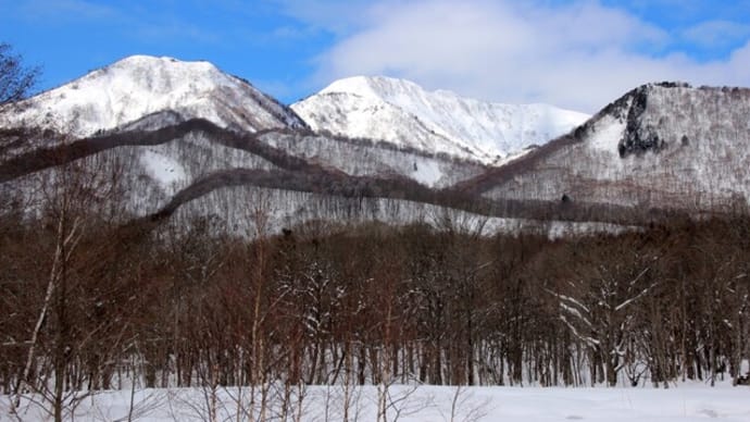 戸隠高原古池スノーシュー(2014年2月12日)