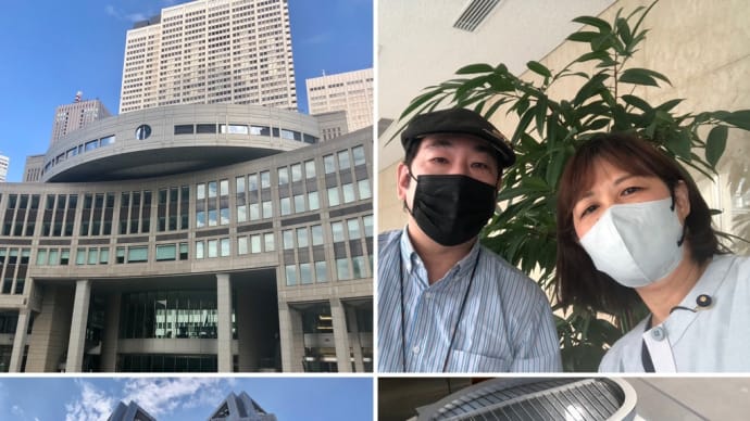 東京都庁 都議会議事堂