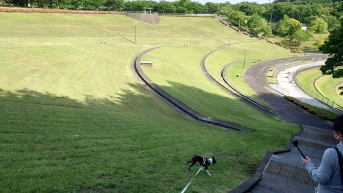 公園2つまわってから動物病院へ