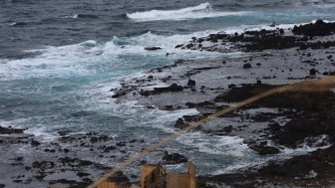 みんなちがってみんないい みんな同じだと味もそっけもないよね。