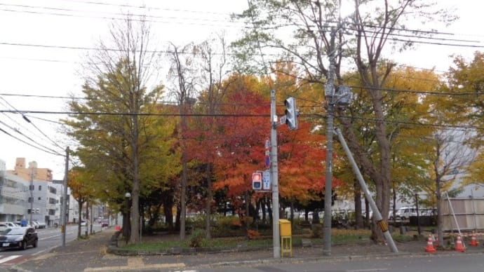 大学村跡の緑地