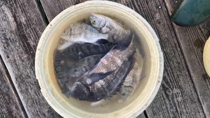 白石湖