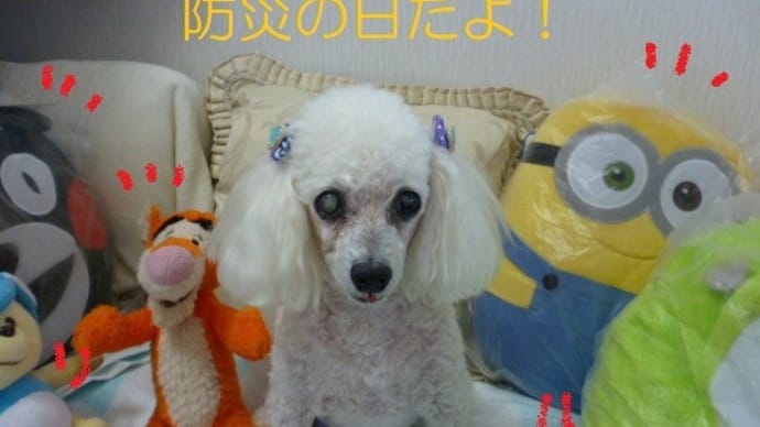 今日から9月…(´-`) ンー 9月1日は防災の日…関東大震災から100年
