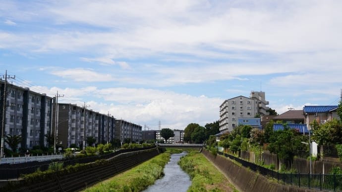 和田秀樹・医師、<何もせず雲を眺める>ことを勧める理由、79歳の私は学び、微笑みを重ねて・・。