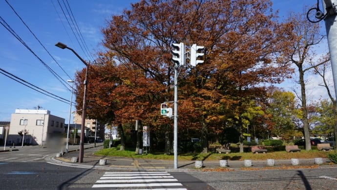 亀田公園 紅葉