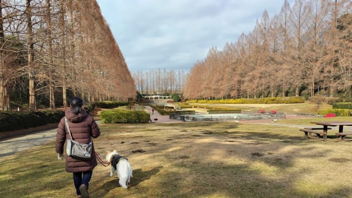 久しぶりの大きな公園。