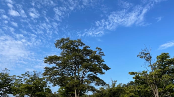 また2周!