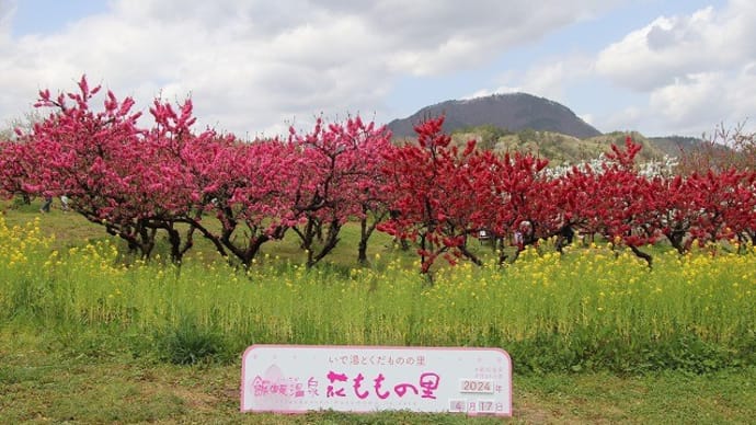 飯坂温泉 花ももの里