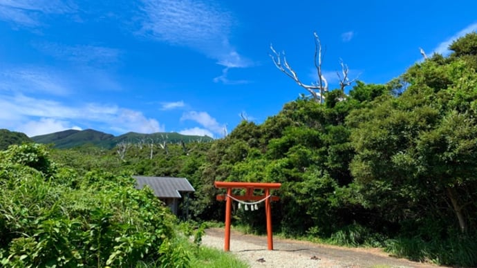 式内社『椎取神社⛩』