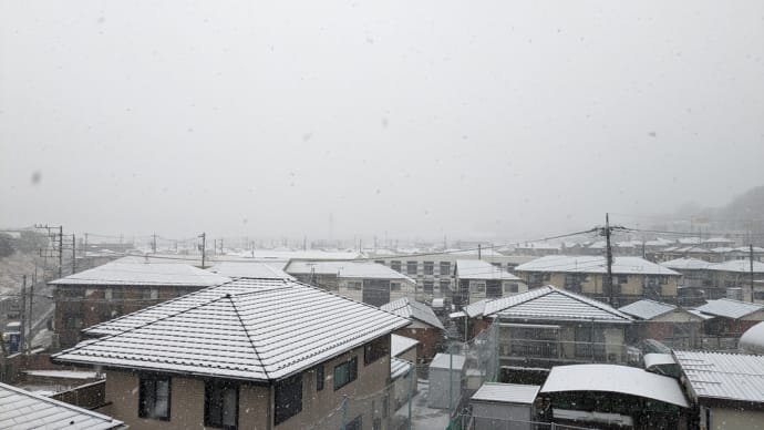 雪が積り始めました。大雪注意報が出ています。　警報に変わりました。