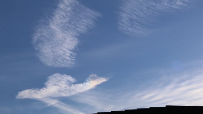 鳥の形の雲