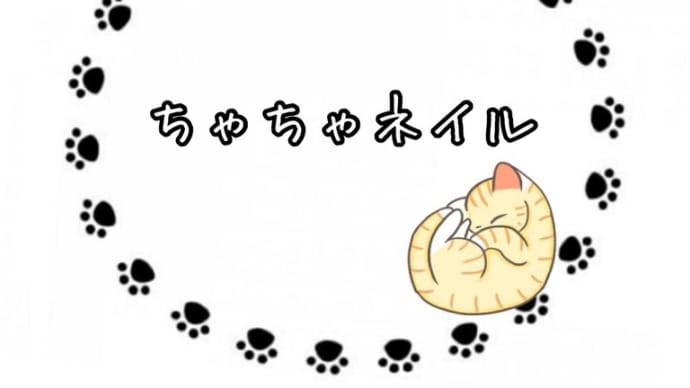 おはようございます⛅