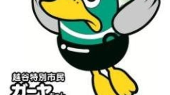 全英連埼玉大会 第1日