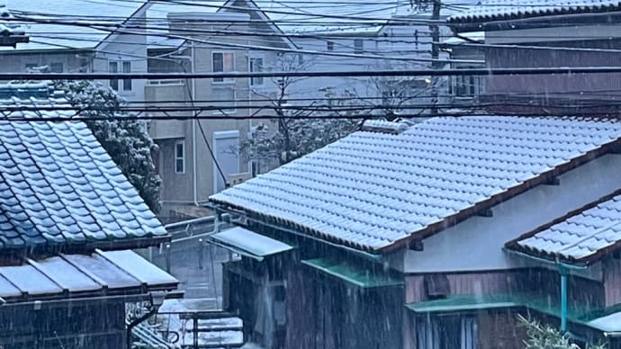 雨だと思ったら　香りと光ある暮らし