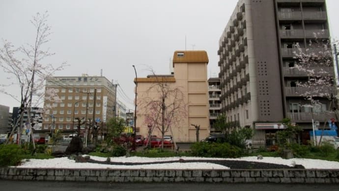 午後に雨が一旦止んでいる隙に、買い物