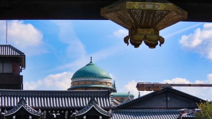 本願寺 伝道院 黒猫