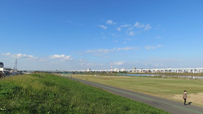久しぶりに荒川の河川敷に出てみた。 6月以来だった。