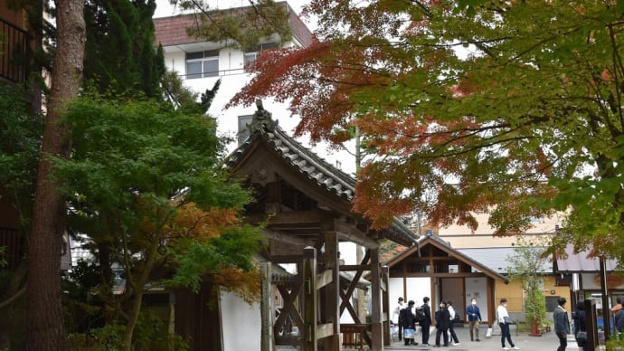 もみじ狩り 宮城県松島町 日本三景松島(14)瑞巌寺山門