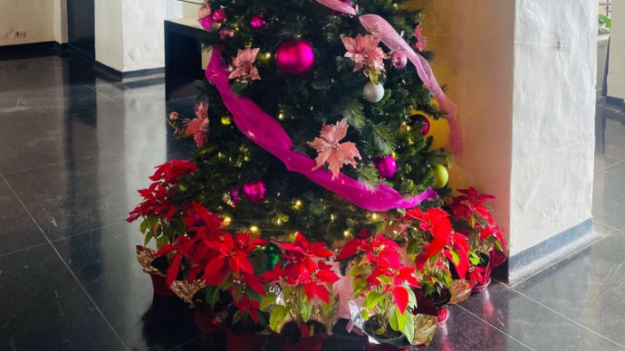 8ヶ月ぶりのHawaii✈️④