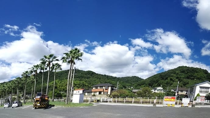 10日を半分越えたけど… つづく暑い日