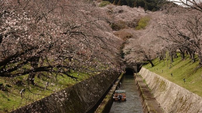 琵琶湖第一疎水の美しい光景　