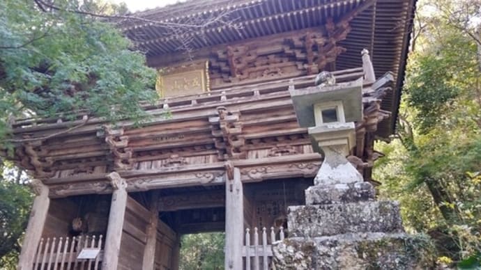 四国第31番五台山竹林寺 2024.11.23