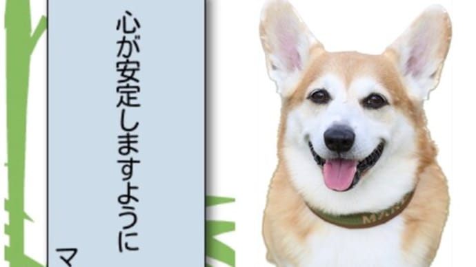 みんなの願いが叶いますように